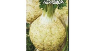 celery variety Chernomor