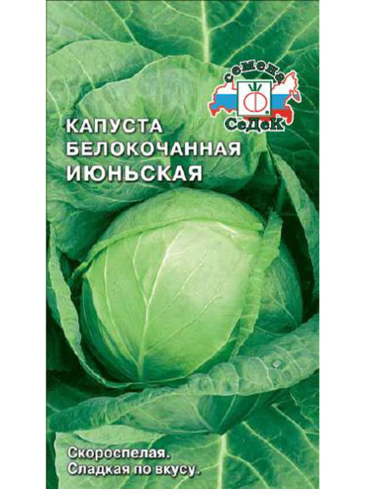 Seeds of cabbage of June variety of SeDek company