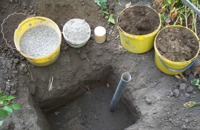 Planting pit for grapes