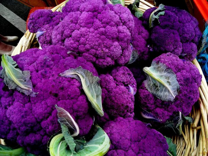 Cabbage Purple ball