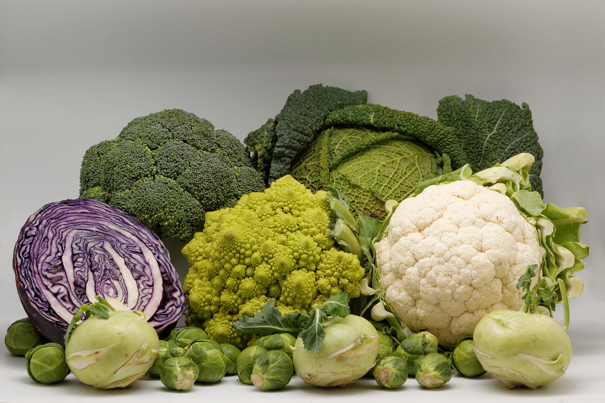 All types of cabbage: description, the best varieties and seed producers