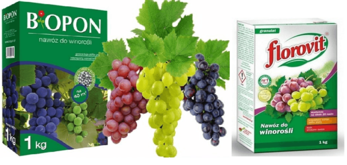 Fertilizers for grapes