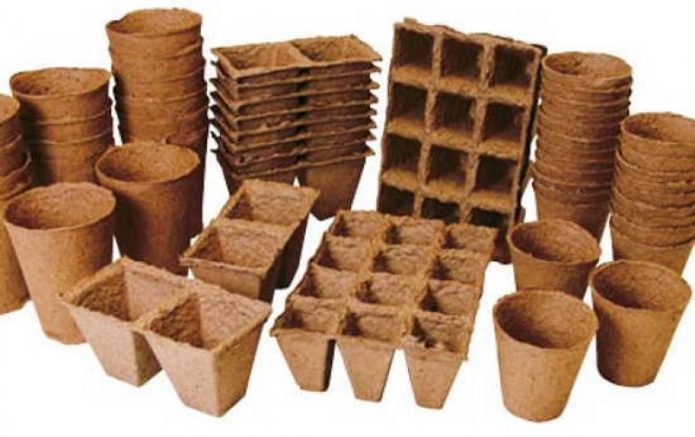 Peat pots