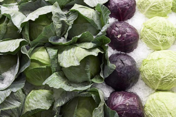 Cabbage, red cabbage and savoy cabbage