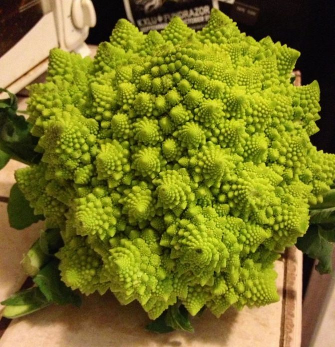 Romanesco cabbage