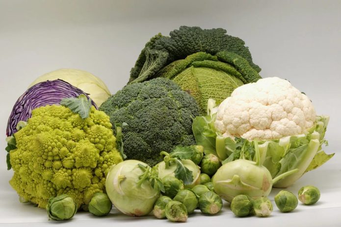 Different types of cabbage