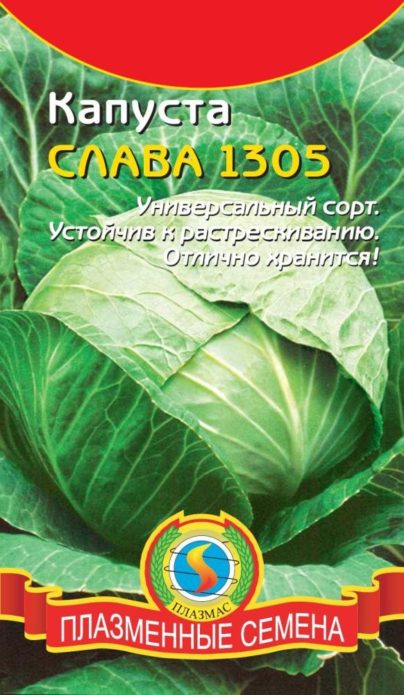 Cabbage seeds Glory of PLAZMAS company