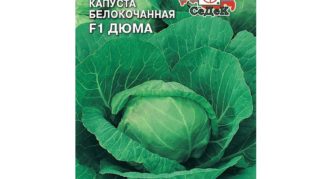 Dumas cabbage