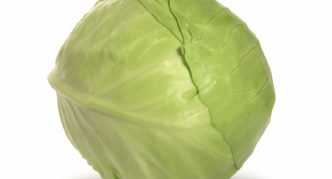 Cabbage glory