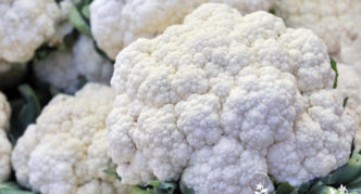 Cauliflower Snowball 123