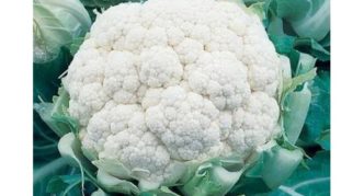 Cauliflower Parisian