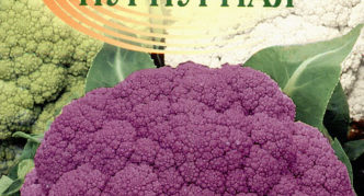 Cauliflower Purple