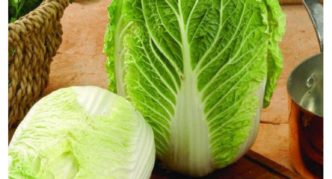 Chinese cabbage Richie