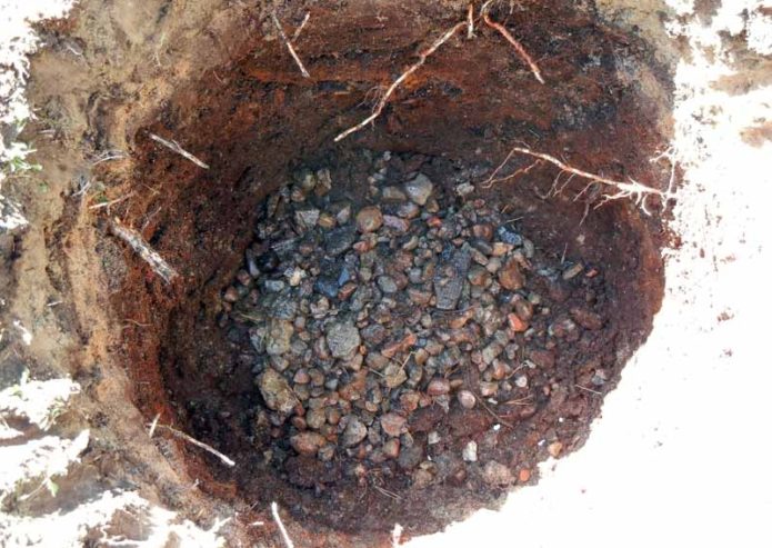 Planting pit for grapes