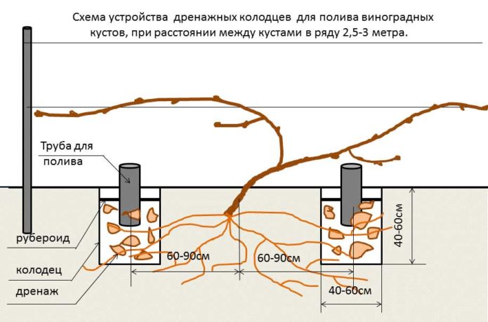 Drainage well