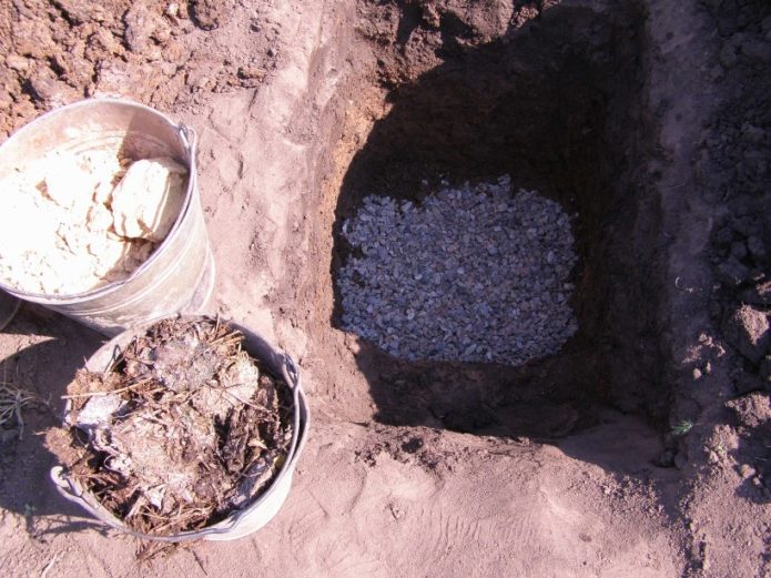 Planting pit preparation