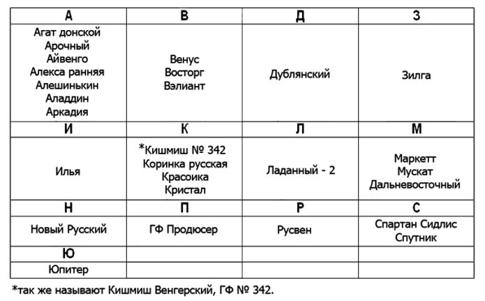 Сортове грозде за региона на Москва