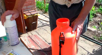 Preparation of a solution of chemicals for spraying grapes