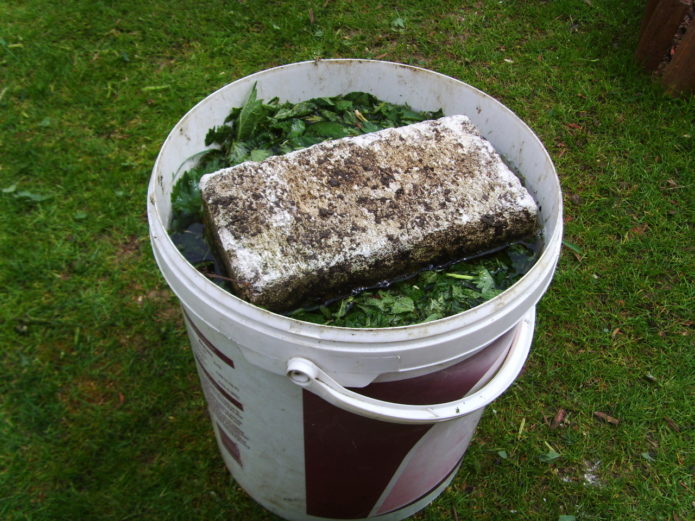 Green manure