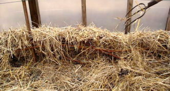 Thatched shelter