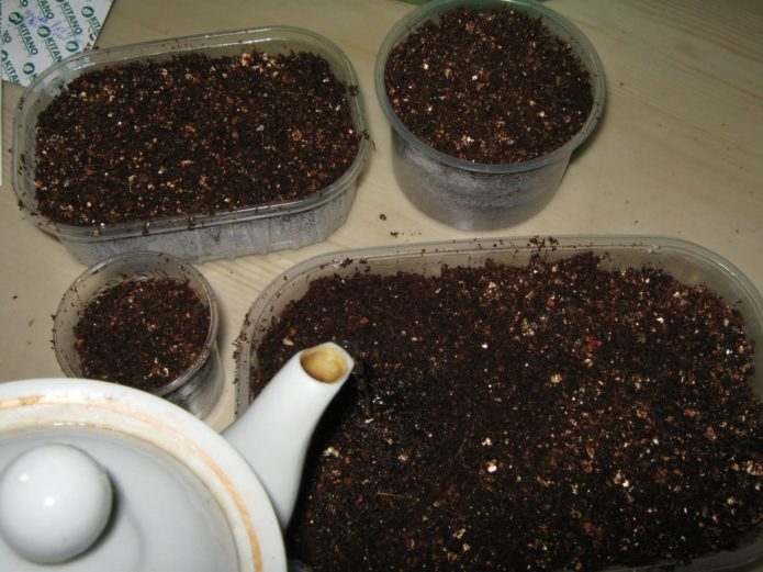 Blackberry seeds in a container