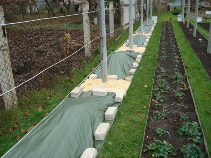 Shelter grapes for the winter