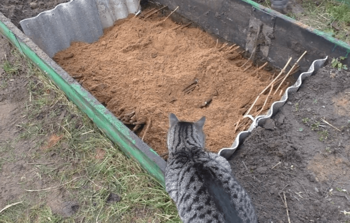 Storing cuttings in the ground