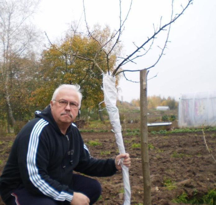 Preparing a seedling for winter