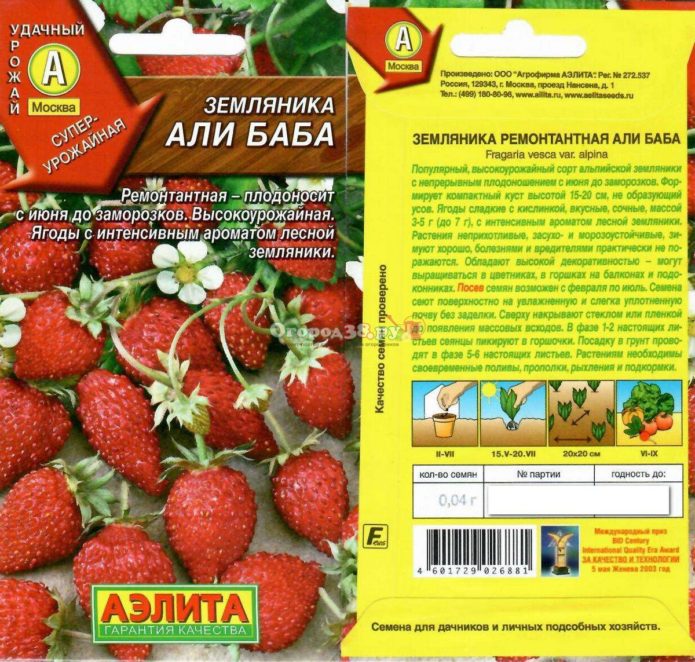 Ali Baba strawberry seeds