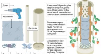 Pipe preparation scheme for vertical cultivation of strawberries