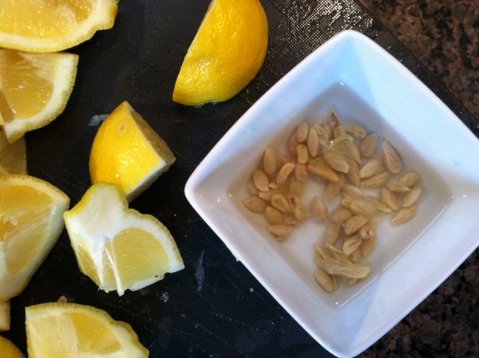 Lemon seeds in a bowl