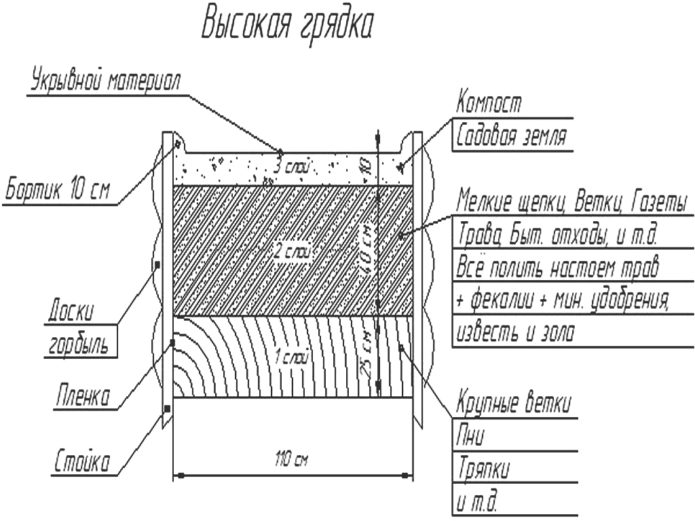 Garden layout