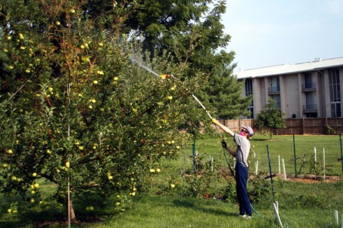 Foliar dressing