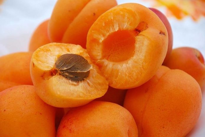 Cutaway apricot fruit