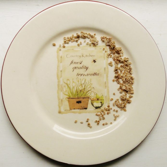 Tomato seeds on a saucer