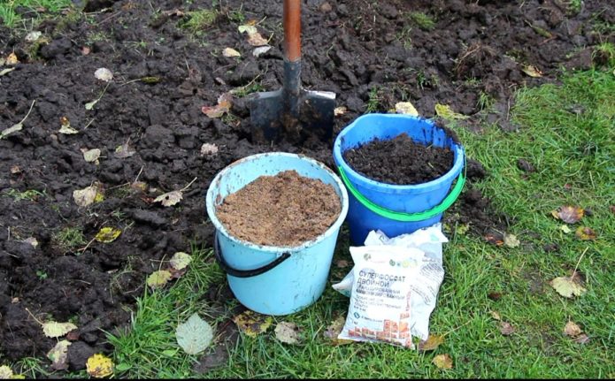 Site preparation for onion planting