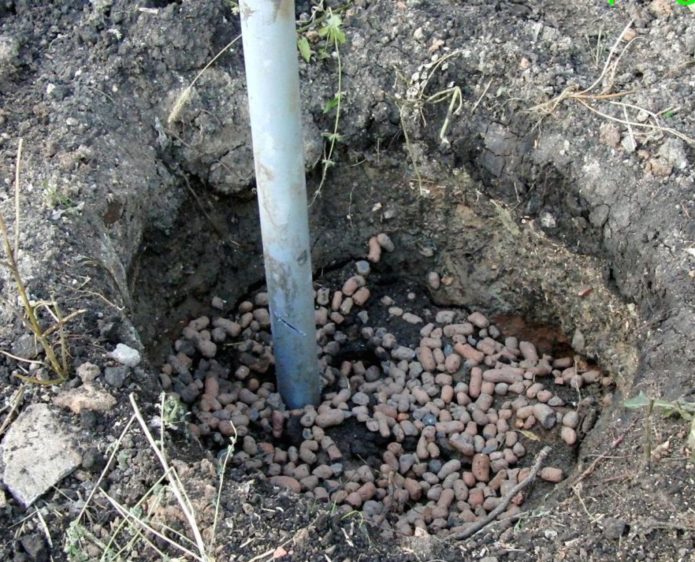 Preparing a planting pit for grapes