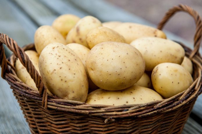 Potato tubers in a basket