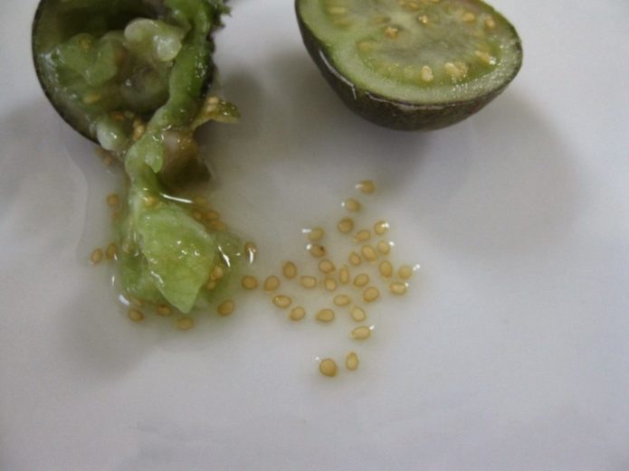 Fruit with potato seeds