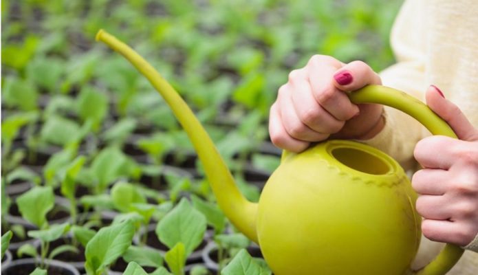 Watering can