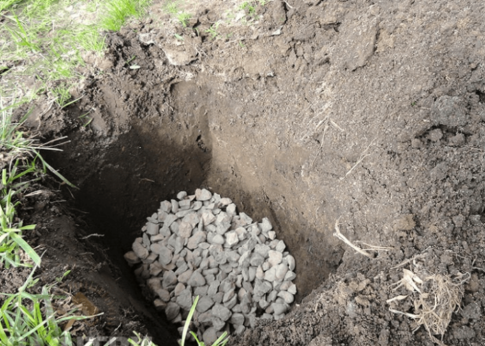 Drainage in the grape pit