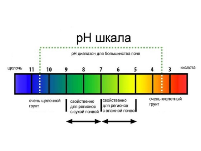 Soil acidity scale