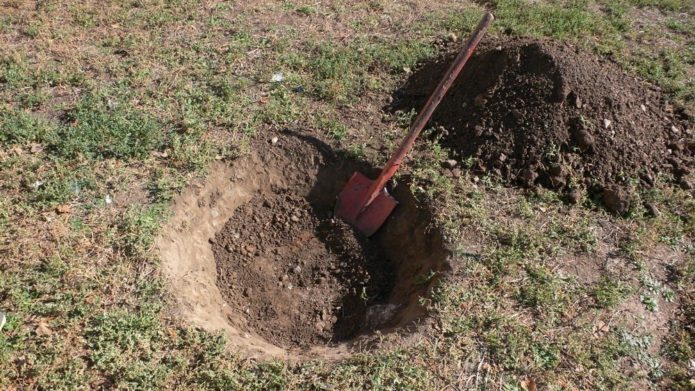 Pit under the apple tree