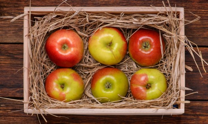 Storing apples