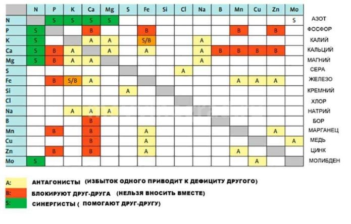 fertilization schedule