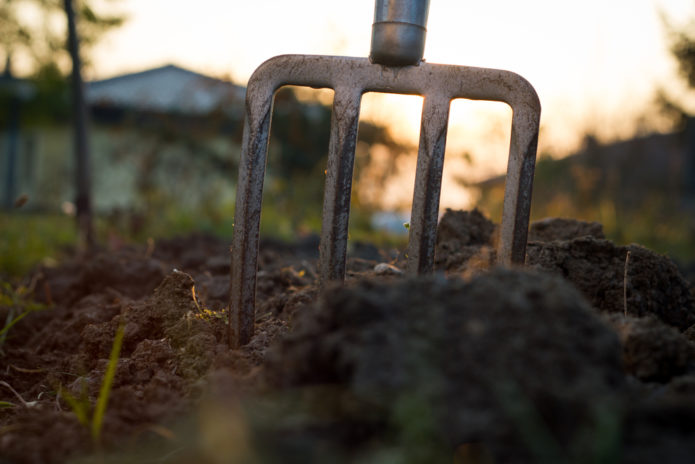 Pitchfork in the ground