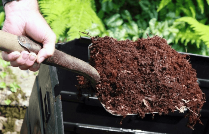 Humus on a shovel