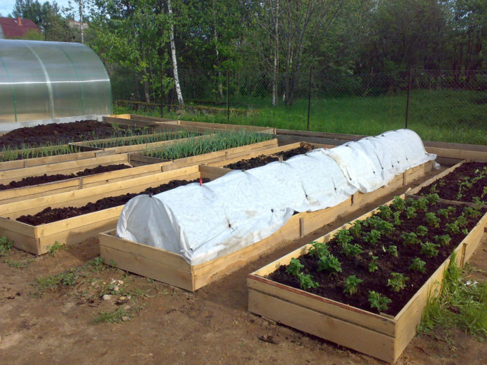 Wooden beds-boxes for vegetables