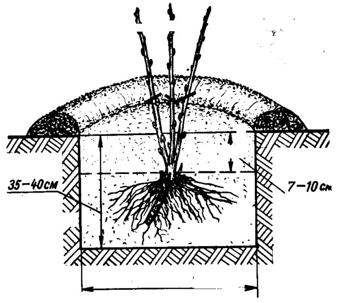 Landing scheme