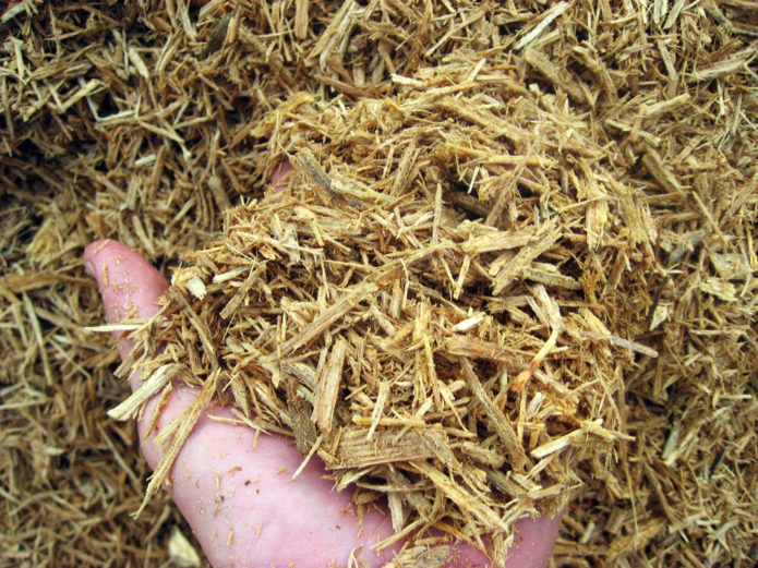 sawdust mulch